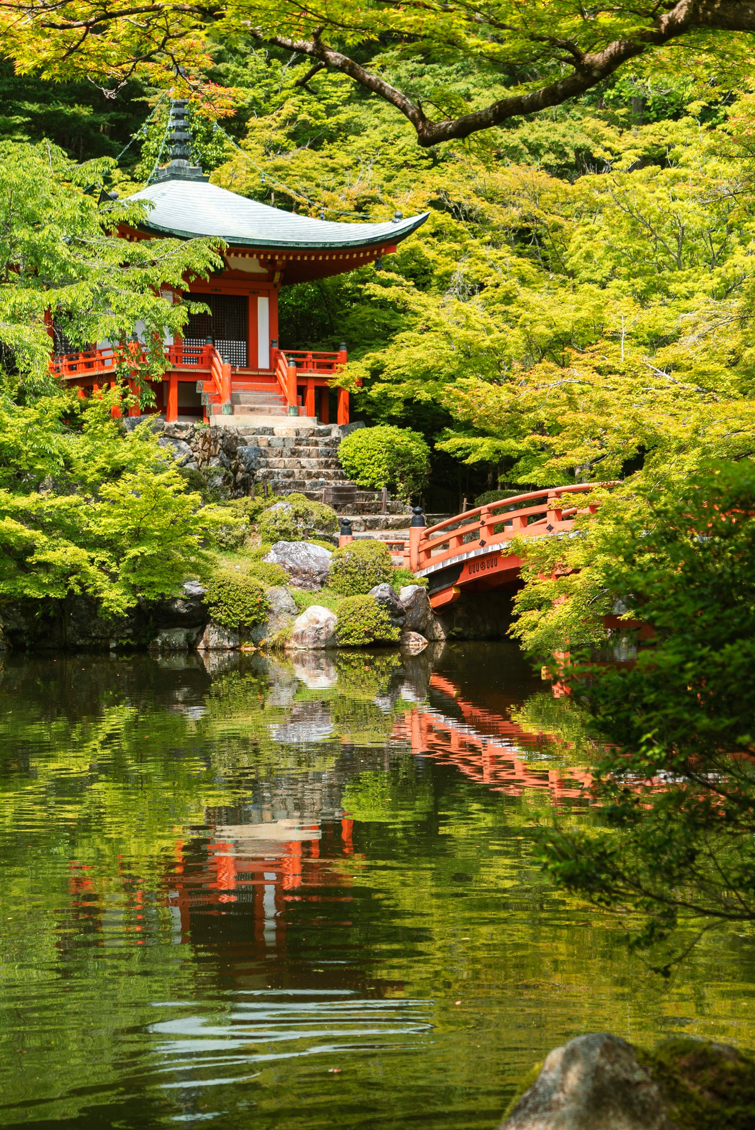 Kyoto, Japan — The temple and geisha circuit — bamboo groves, shrine gates, Gion's wooden machiya houses.